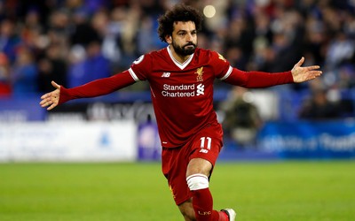 利来焦点-卡塔尔媒体积极报道