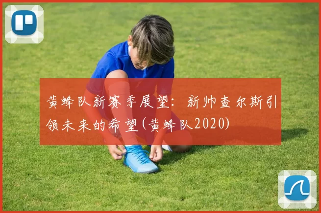 黄蜂队新赛季展望：新帅查尔斯引领未来的希望(黄蜂队2020)